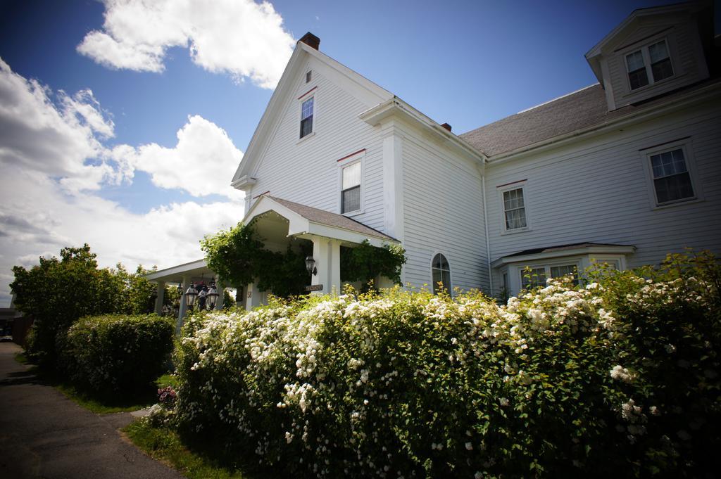 Inn On Frederick St. Andrews By The Sea Extérieur photo